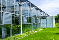 Serre BAIXINXIN |   Structure de cadre de serre |   Grandes serres en plastique multi-voûtes, usage professionnel, anti-goutte, pour jardin