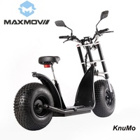 Cee COC 60V 20Ah Citycoco batterie 2000W/3000W/4000W Eu entrepôt Scooter électrique avec adulte