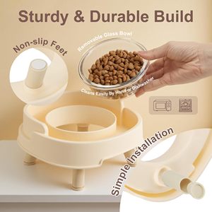 Bol pour <span class=keywords><strong>chat</strong></span> anti-<span class=keywords><strong>fourmis</strong></span>, anti-déversement, pour nourriture et eau, en verre de qualité alimentaire, antidérapant, surélevé - Product Image 4