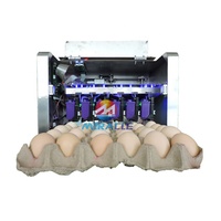 Automatische Ei-Inkjet-Drukmachine Ei-Datum Stempel Inkjetprinter