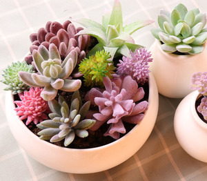 Succulentas <span class=keywords><strong>al</strong></span> <span class=keywords><strong>por</strong></span> <span class=keywords><strong>Mayor</strong></span>, Surtido <span class=keywords><strong>de</strong></span> Mini Cactus Decorativos, Arreglo Colgante para Interiores y Exteriores, Plantas Artificiales <span class=keywords><strong>Suculentas</strong></span> en <span class=keywords><strong>Venta</strong></span> - Product Image 3