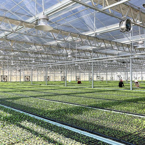 Serre en verre isolé trempé à contrôle solaire de haute qualité de grande taille pour la culture de légumes à des fins agricoles - Product Image 5