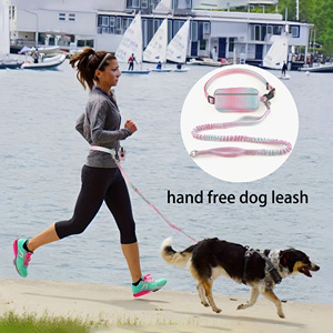 Custom Logo Gradient Colors Designer Pet Leashes With Reflective Sports Waist Pack Hand Free Snap Hook For Bungee <b>Dog</b> Leash - Product Image 1