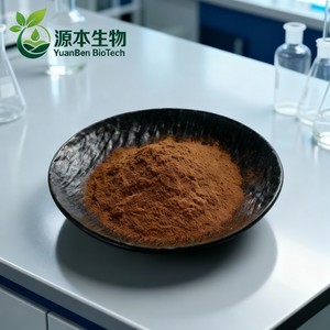 Extrait de champignon crinière de lion en poudre, extrait d'<span class=keywords><strong>Hericium</strong></span> <span class=keywords><strong>Erinaceus</strong></span>, polysaccharides 30%, extrait d'<span class=keywords><strong>Hericium</strong></span> <span class=keywords><strong>Erinaceus</strong></span> de haute qualité - Product Image 4