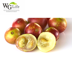 Comercio aseguramiento <span class=keywords><strong>camu</strong></span> Perú extracto puro - Product Image 1