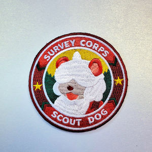 맞춤형 OEM 로고 자수 패치, 훅앤루프 열접착 패치, 자수 패치 - Product Image 5