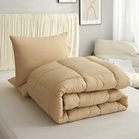 Parures de lit d'hôtel toutes saisons en microfibre de polyester, épaisses, luxueuses, à prix abordable, 200gsm, 300gsm, 400gsm, inserts de couette d'hôtel