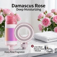 Filtre de douche aromathérapeutique à la rose de Damas, déchloration, soin de la peau, purificateur d'eau ABS pour salle de bain