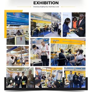 Molino <span class=keywords><strong>de</strong></span> <span class=keywords><strong>Harina</strong></span> <span class=keywords><strong>de</strong></span> Maíz <span class=keywords><strong>de</strong></span> 40 TPD, Línea Completamente Integrada para una Operación <span class=keywords><strong>de</strong></span> Molienda Simplificada, Mercado Africano - Product Image 5