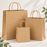Sac en papier kraft durable ECO avec poignée torsadée en vrac pour le shopping et l'emballage de cadeaux