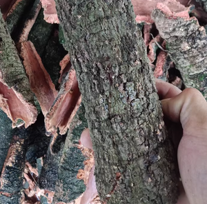 เปลือกไม้ยี่ห้อห<span class=keywords><strong>ย</strong></span>างเหมยปี้ แบบดิบ ต้นไม้ไมริกา รูบรา ตัดเป็นชิ้น สำหรับทำสมุนไพร - Product Image 4