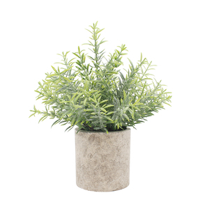 Orsetto Decorativo con Rose e Piante Grasse Artificiali in <span class=keywords><strong>Vaso</strong></span> di PVC per Halloween e Laurea - Product Image 2