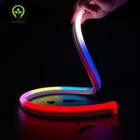 1225 bande néon d'éclairage latéral en Silicone numérique connectivité USB Source de lumière LED corps en cuivre RGB/RGBW UCS512 IC DMX512 DC24V