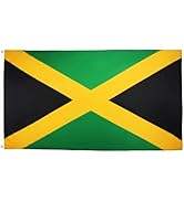 Bandera Nacional Personalizada de 3x5 pies, 100% Poliéster, Impresión Digital a Todo Color, Diseño de Logotipo Personalizado - Product Image 6