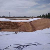 Géotextile non tissé aiguilleté à fibres courtes anti-corrosion à prix compétitif pour la protection des pentes et les projets de décharges