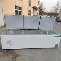 Congélateur coffre commercial polyvalent à 3 portes, à température unique, pour la viande, vente directe usine