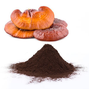 Растительный экстракт, порошок Ganoderma Lucidum, беспищевой экстракт грибов линчжи, оболочка Ganoderma/Рейши/гриб натуральный - Product Image 1