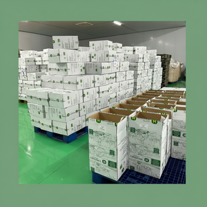 Anacardos crudos blancos enteros de alta calidad BRCGS orgánicos USDA/EU HANFIMEX 0084915196568 precio bajo nueva cosecha 20kg bolsas de vacío W320 - Product Image 1