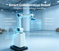 Robot Cobot de Paletización de Funcionamiento Estable con Servicio Postventa Completo para Automatización de Fábrica