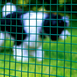 Sơn tĩnh điện 2x2 mạ kẽm hàn sắt lưới màu xanh lá cây màu hàng rào sắt dây lưới cho vườn hàng rào và động vật enclosures - Product Image 3