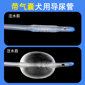 Cathéter urinaire en silicone pour chiens, double lumière, avec ballonnet et poche à urine, instrument chirurgical vétérinaire - Product Image 3
