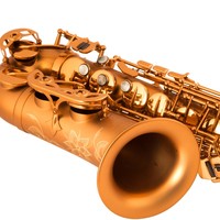 Vintage Professional Matte Coffee Gold E-flat Alto Saxophone Brass Body for Beginners Grading Exams-Fabulous Flamingo Series