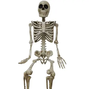 Große Skelette Halloween Requisiten Lebensgröße Ganzkörper Menschliche bewegliche Gelenke Hochwertige Halloween-Außen dekorationen