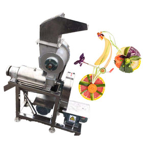 Exprimidor Comercial de Acero Inoxidable con Orificio de Alimentación de 60 mm, Expulsión Automática de Pulpa, Exprimidor de Frutas y Verduras, 220 V, Enchufe Europeo - Product Image 1
