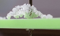 Super Putih W6352 industri ABS seperti standar 3d cetak Uv Curable Resin untuk prototip cepat layanan SLA besar 3d Printer