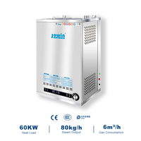 Générateur de vapeur au gaz naturel JOWIN 60KW à économie d'énergie, chaudière à vapeur 80kg/h avec système de sécurité pour la transformation alimentaire et les cuisines centralisées
