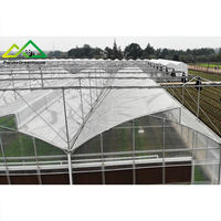 Polyfolie PE Multi-Span Gezaagd Kaszonweringssysteem voor grootschalige commerciële teelt van groenten en bessen, eenvoudig in gebruik