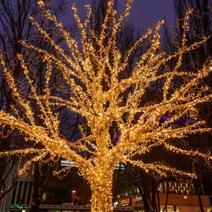 <span class=keywords><strong>Arbre</strong></span> Bonsaï LED Extérieur Motif Brindille 3D <span class=keywords><strong>Bleu</strong></span> Vert Violet Émetteur de Lumière IP65 Évalué 220V pour la Décoration de Rue du Festival de Noël - Product Image 6