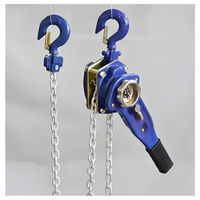 Nouveau palan à chaîne manuel en acier 2 tonnes Mini grue Bloc de levage à chaîne avec élingue en câble métallique Protection IP55 Garantie 1 an