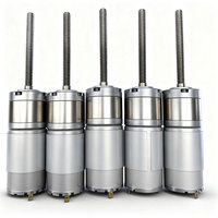 Suministro Directo de Fábrica de Motores de 24V y 36mm de Diámetro, Reemplazo para Motores Maxon y Faulhaber, para Herramientas Eléctricas, Robots y Herramientas de Embalaje.