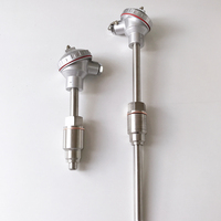 Thermocouple Haichen WRNNM-231 OEM en acier inoxydable IP65 résistant à l'usure, types K et E, pour cimenterie, charbon, cendres et centrale électrique