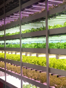 T8 ống Led phát triển ánh sáng 2ft 4ft nhà máy đèn với hợp kim nhôm quang phổ đầy đủ màu trắng và 660nm nở đỏ ứng dụng - Product Image 6