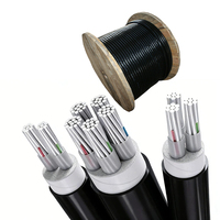 Cable Flexible WDZ-YJLY de Baja Emisión de Humo y Libre de Halógenos, Antienvejecimiento, para Transmisión de Energía Subterránea en Centros Comerciales
