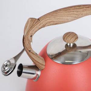 3.0L 새로운 디자인의 스토브탑 스테인리스 스틸 티포트, 식품 등급 맞춤형 베스트셀러 인덕션 바닥 휘슬 주전자 - Product Image 3