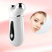 Appareil facial à microcourant professionnel Anti-âge de la peau serrant le masseur facial Micro rouleau de visage actuel