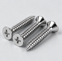 304 Stainless Steel Phillips Self Tapping Screws High Precision Fastener