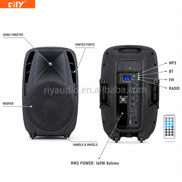 R-12C/R-15C 140W/ 160W Active PA Speaker with BT USB SD Card FM Radio MP3 Media Player Trolley Wheels for Party Event,Stage, KTV