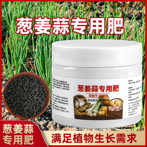 Engrais spécial pour oignons, gingembre, ail, 300g, granulaire, à libération lente, nourriture pour plantes, jardinage domestique - Product Image 5