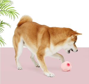 Latex Roze Scheet Interactieve Zachte Groothandel Hond Kauwen Piepend Huisdier Speelgoed Nieuwkomers Hond Kauwen Speelgoed - Product Image 6