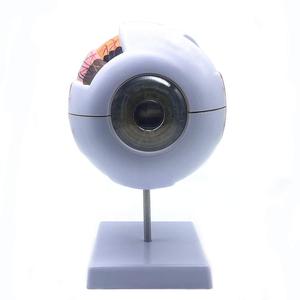 GelsonLab-HSBM-186 de biología 6 veces, modelo ojo humano gigante, modelo ojo humano, anatomía para la enseñanza de la ciencia, modelo médico - Product Image 4