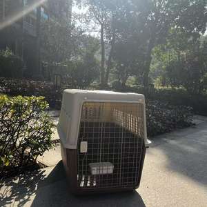 Cage <span class=keywords><strong>de</strong></span> <span class=keywords><strong>transport</strong></span> pour animaux <span class=keywords><strong>de</strong></span> compagnie en plastique PP, grande cage <span class=keywords><strong>de</strong></span> <span class=keywords><strong>transport</strong></span> pour animaux <span class=keywords><strong>de</strong></span> compagnie avec roues, conforme aux normes <span class=keywords><strong>de</strong></span> <span class=keywords><strong>transport</strong></span> aérien - Product Image 3