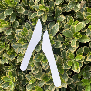 GR Factory price custom cutlery sets disposable Hot sale Bio PLA Plastic Knife