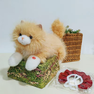 Peluche chat Ragdoll, adorable poupée, petite peluche chaton, décoration d'intérieur, cadeau de fêtes, cadeau pour enfants - Product Image 2