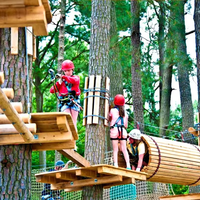 Équipement d'escalade pour enfants en alliage d'aluminium, filets de sécurité en nylon pour parcours forestier, pour les 5-10 ans, aire de jeux extérieure commerciale