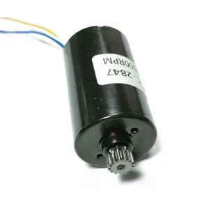 OEM Micro Small High Speed Rpm 28mm 2847 12v Bldc Motor 24v Brushless Dc Motor