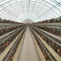 Grande ferme avicole maison arche Tunnel serre système d'isolation refroidissement serre maison tente pour poulet vache chèvre élevage